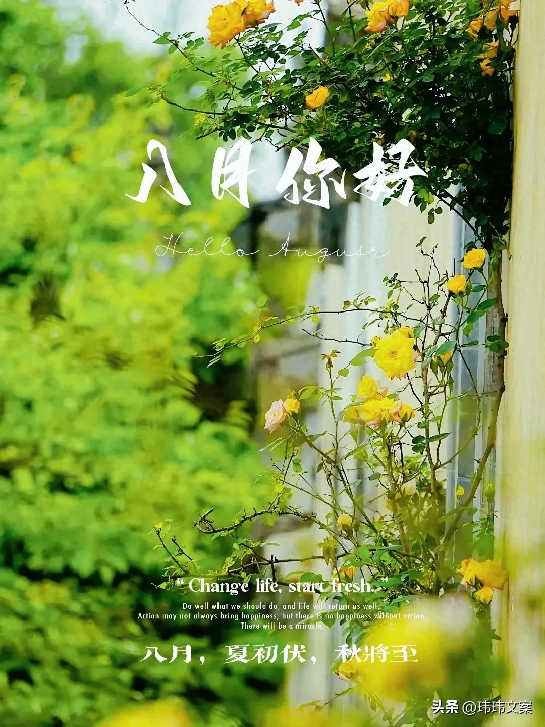 7月再见，8月你好，30条适合收藏的朋友圈文案(图3)