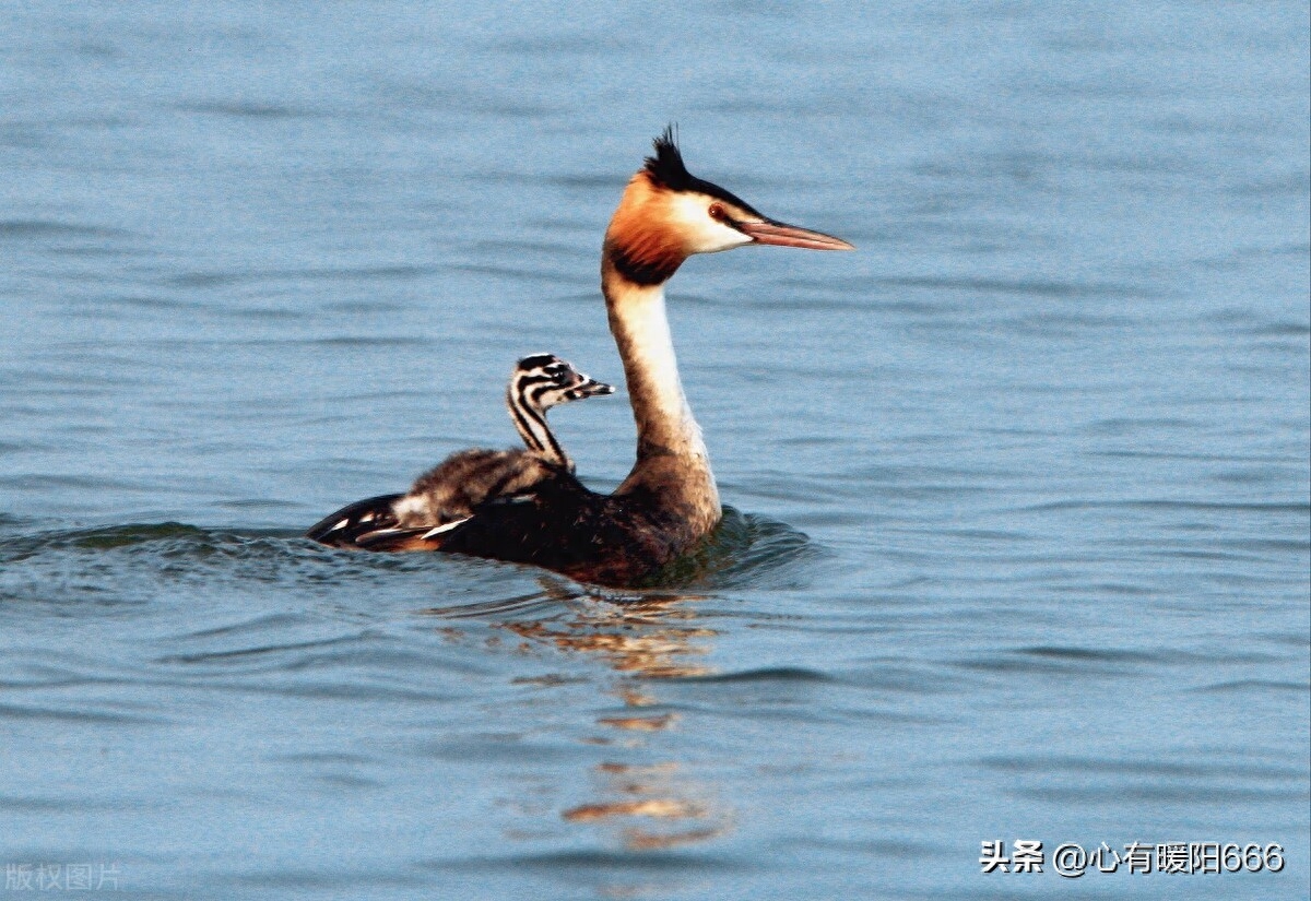 妈妈写给17岁儿子的一封信，母子情深的句子，相处之道，图片唯美(图4)
