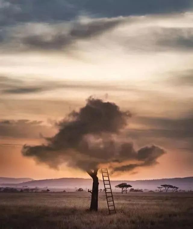 送给天下母亲祝福 最暖心的51句话(图1)