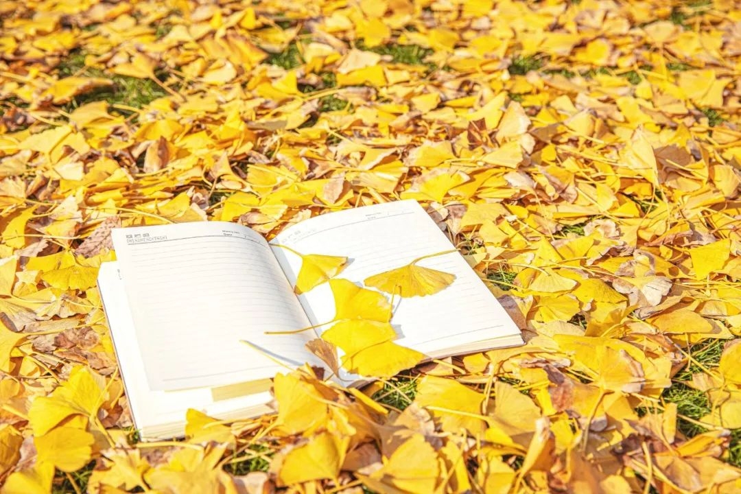 10句经典俗话，看穿人性，说透人生(图2)