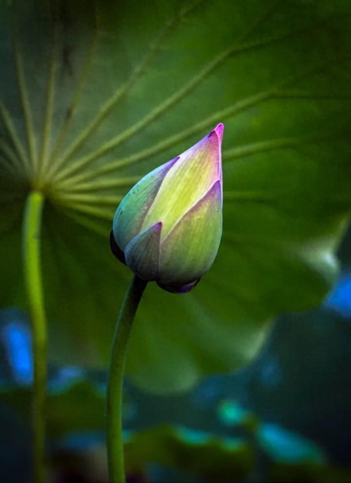 事不三思终有悔，人能百忍自无忧(图2)