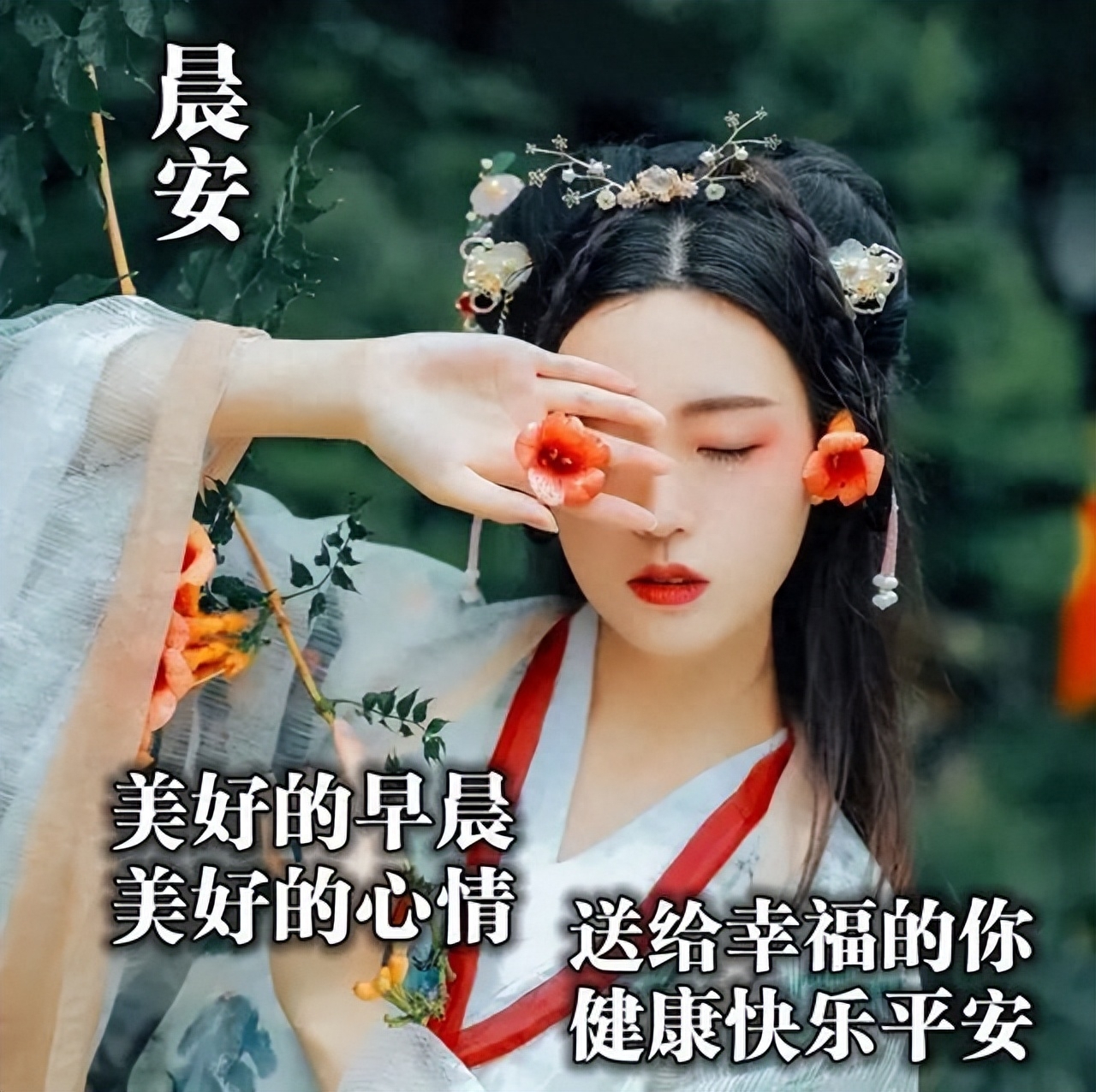 特别漂亮早上好祝福图片鲜花带字 早晨问候短信大全(图1)