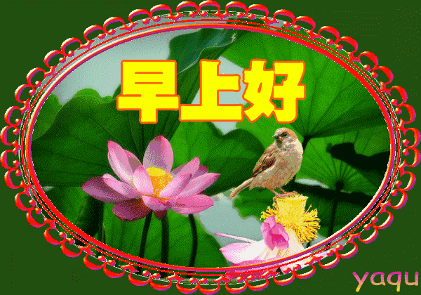 特别漂亮早上好祝福图片鲜花带字 早晨问候短信大全(图3)