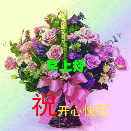 特别漂亮早上好祝福图片鲜花带字 早晨问候短信大全(图5)