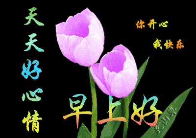 特别漂亮早上好祝福图片鲜花带字 早晨问候短信大全(图7)