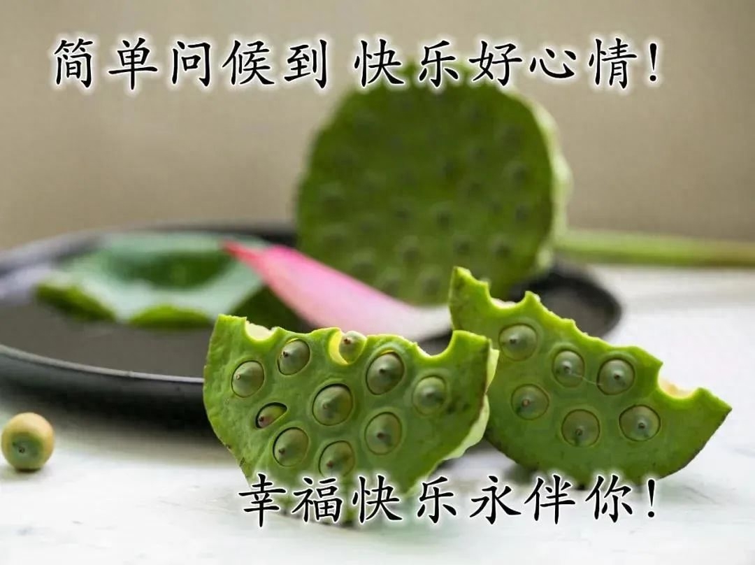 特别漂亮早上好祝福图片鲜花带字 早晨问候短信大全(图8)