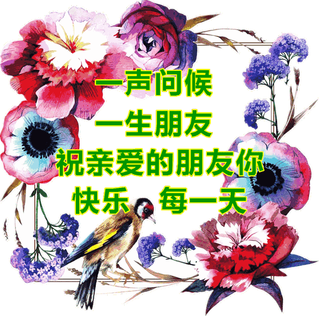 特别漂亮早上好祝福图片鲜花带字 早晨问候短信大全(图9)