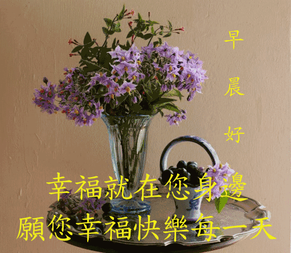 特别漂亮早上好祝福图片鲜花带字 早晨问候短信大全(图10)