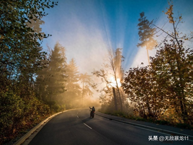 30条唯美早安短句，收藏好！(图4)