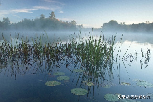 30条唯美早安短句，收藏好！(图6)