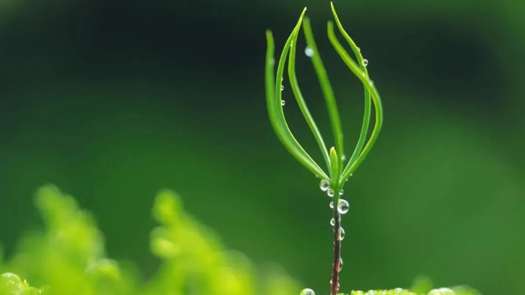 早上好高情商句子70条经典语录大全(图2)