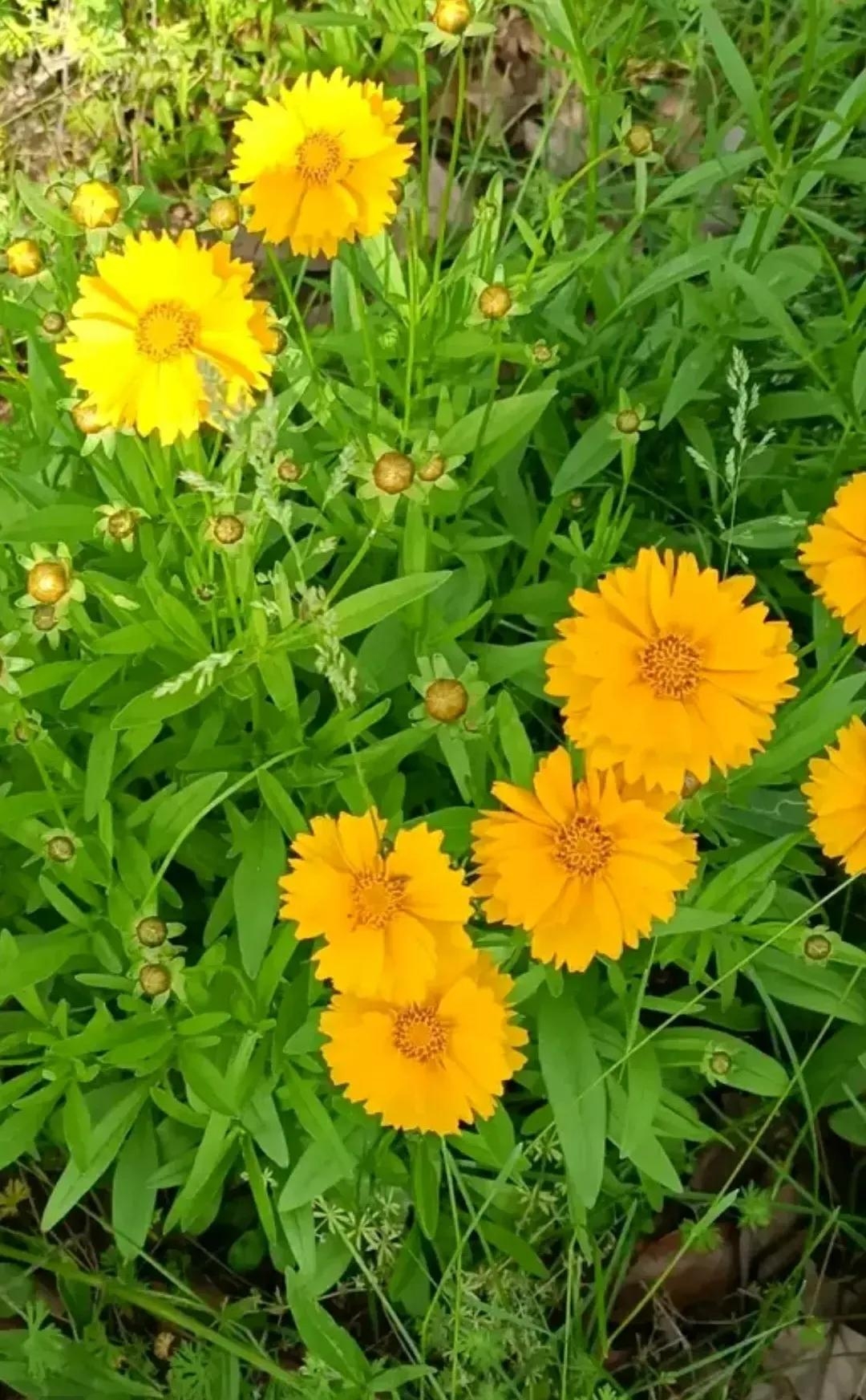 新的一天开始了，亲爱的，早安，经典励志唯美问候语(图5)