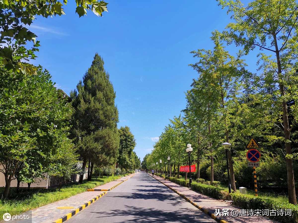 带有哲理的诗句，选一句作为座右铭吧(图2)