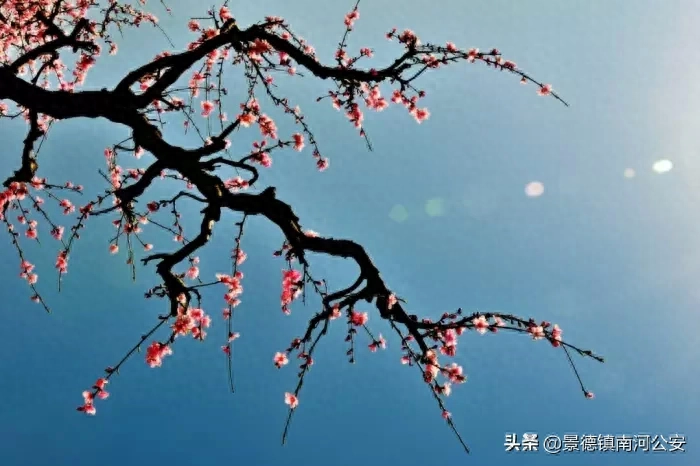 诗词 | 《唐诗三百首》里的50个名句，最适合发朋友圈(图6)