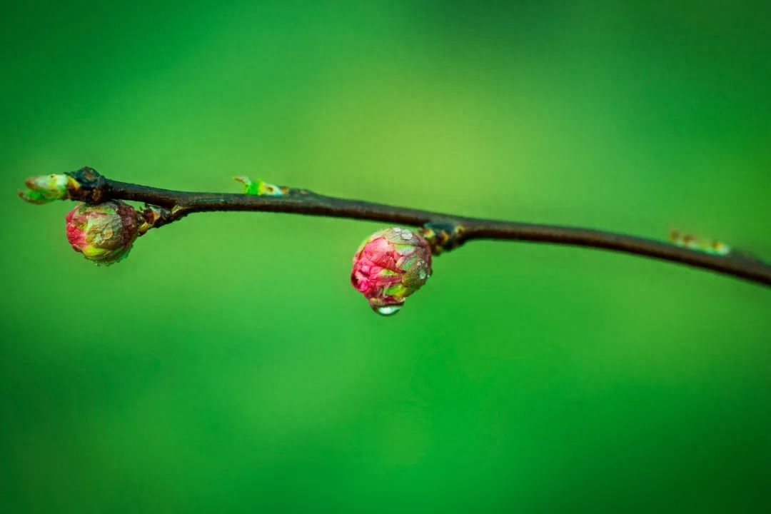 五千年来最有哲理的12句诗词，太经典，我整整读了五遍(图3)