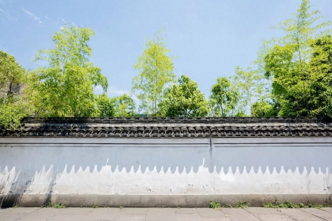 五千年来最有哲理的12句诗词，太经典，我整整读了五遍(图4)