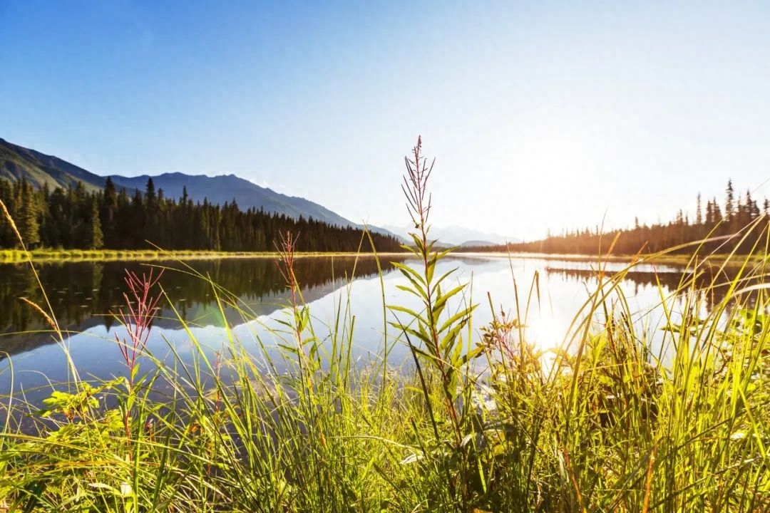 五千年来最有哲理的12句诗词，太经典，我整整读了五遍(图5)