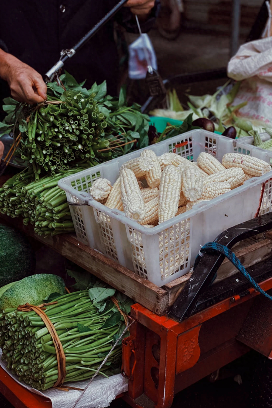 中国人不能失去县城(图50)