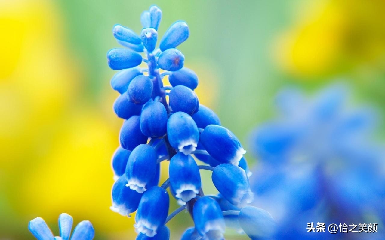 20句经典励志语录，送给迷茫中的你(图1)