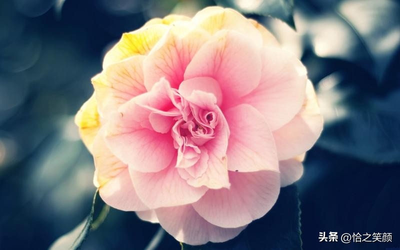 20句经典励志语录，送给迷茫中的你(图2)