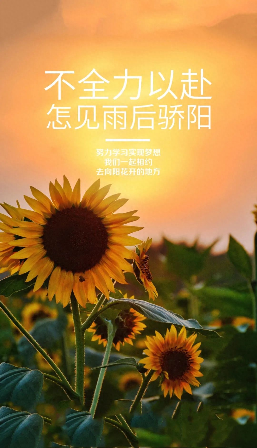 「2023.08.21」早安心语，正能量特精辟的精美语录句子，励志图片(图15)