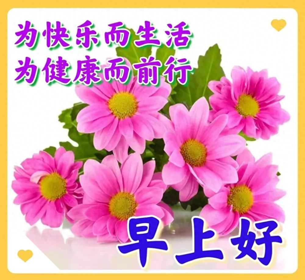「2023.08.21」早安心语，正能量特精辟的精美语录句子，励志图片(图19)