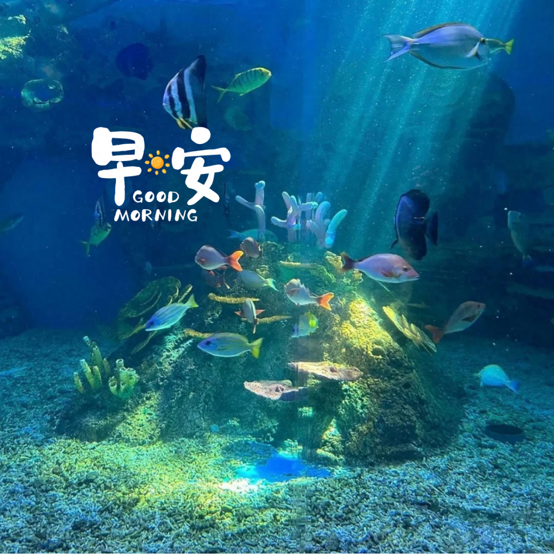 「2023.08.21」早安心语，正能量特精辟的精美语录句子，励志图片(图31)