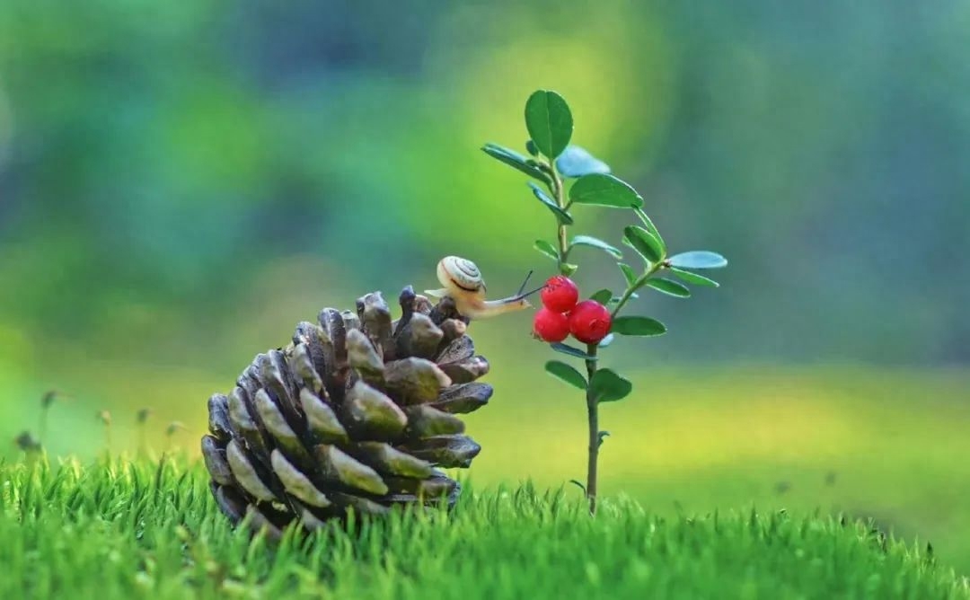 「2023.08.21」早安心语，正能量特精辟的精美语录句子，励志图片(图36)