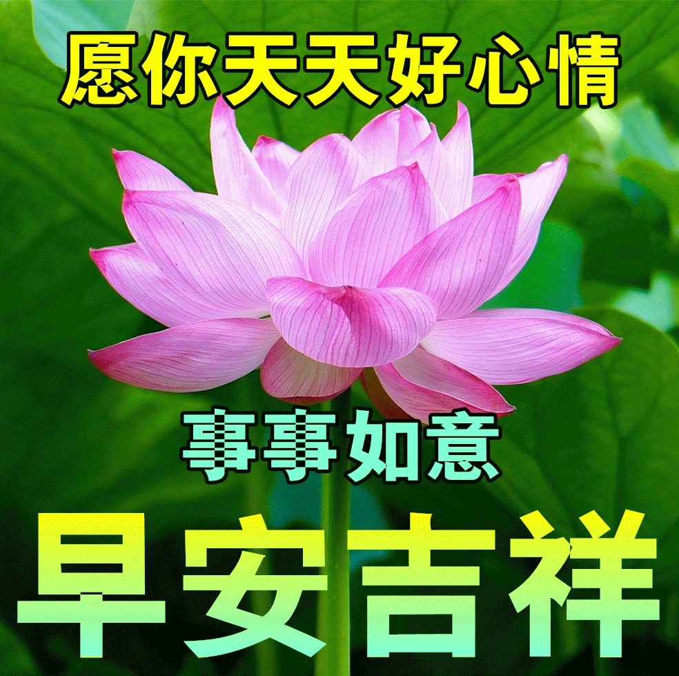 「2023.08.21」早安心语，正能量特精辟的精美语录句子，励志图片(图39)