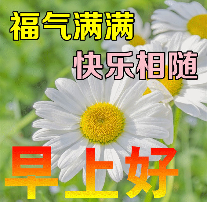 「2023.08.21」早安心语，正能量特精辟的精美语录句子，励志图片(图42)