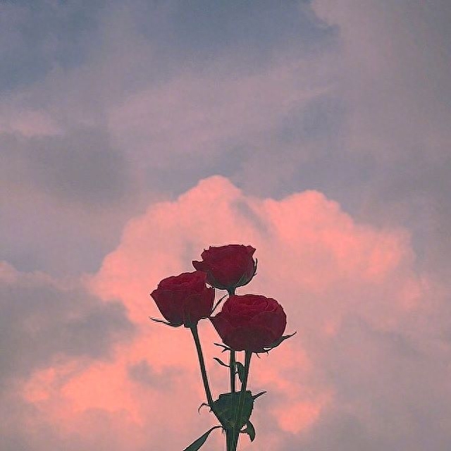 2023最励志的经典说说，精辟霸气，激励人心！(图1)