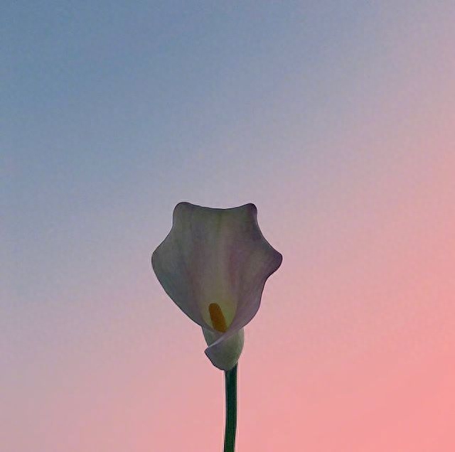 2023最励志的经典说说，精辟霸气，激励人心！(图4)