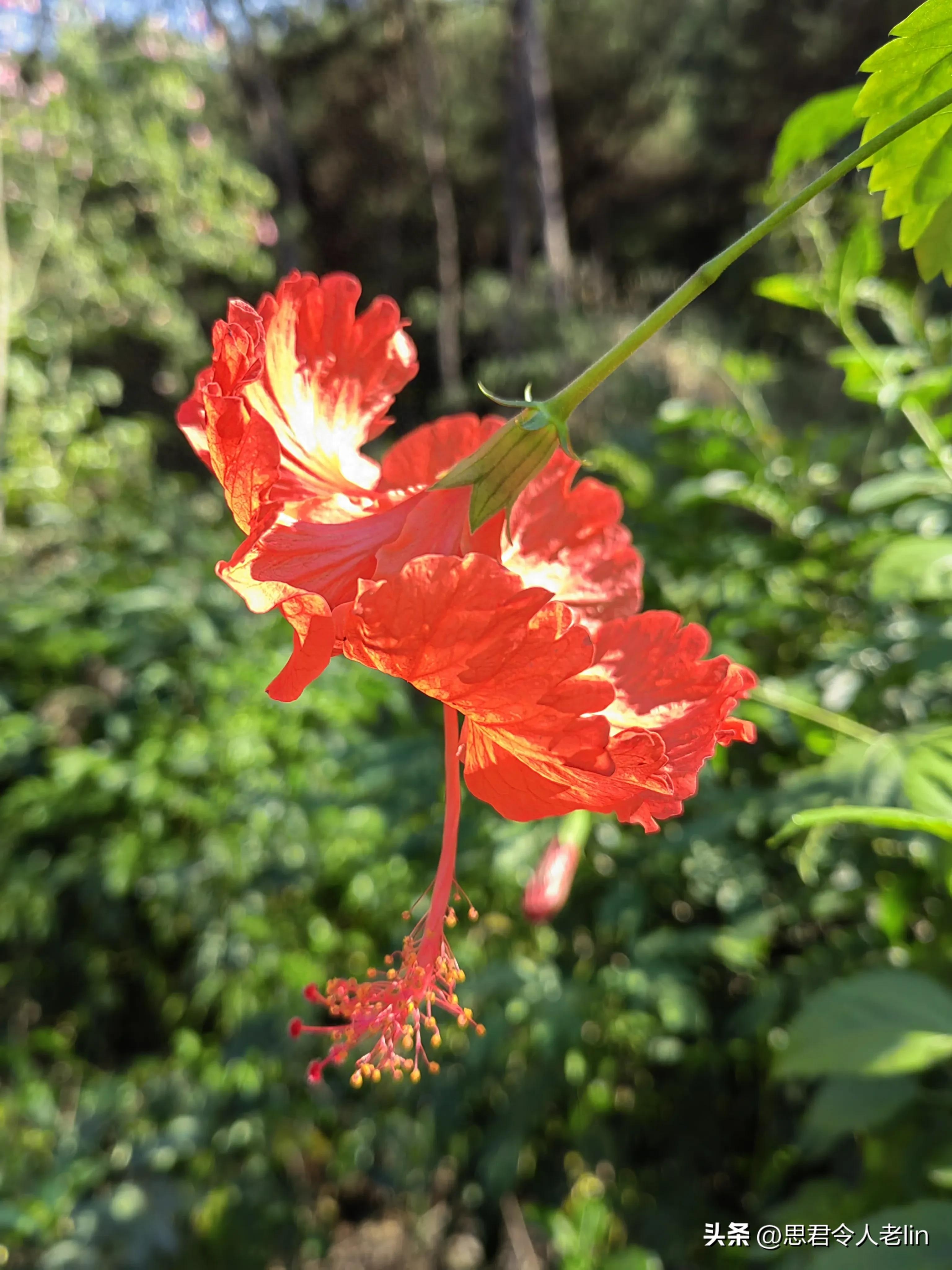 喜迎二十大！8首诗词品读诗人笔下的爱国情(图2)