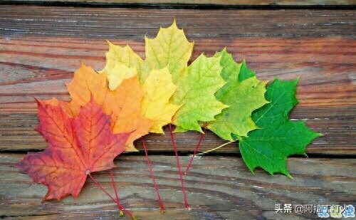 写给闺蜜的一些说说句子很煽情 暖心的闺蜜说说简单却让人感动(图2)