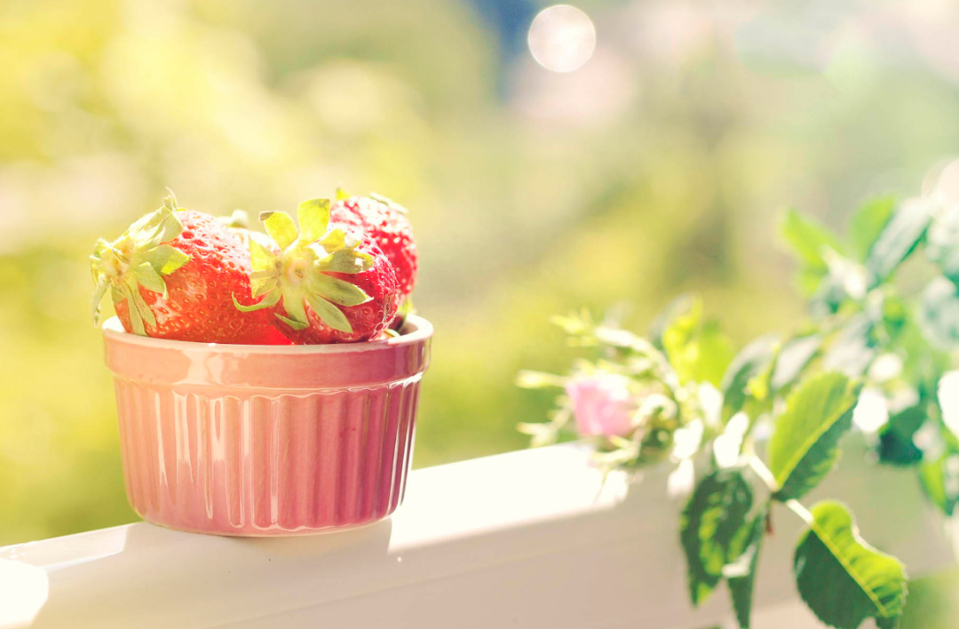 阳光文案短句干净治愈，一句温暖人心的话(图3)