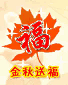 早安心语~问候是温暖的阳光，字字句句生花溢香(图4)