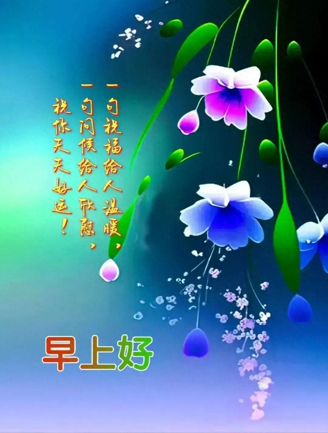 早安心语~问候是温暖的阳光，字字句句生花溢香(图5)