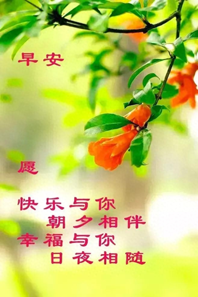 早安心语~问候是温暖的阳光，字字句句生花溢香(图6)