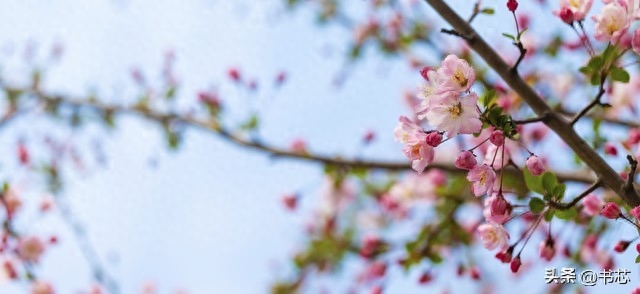 温暖至极的句子(图2)