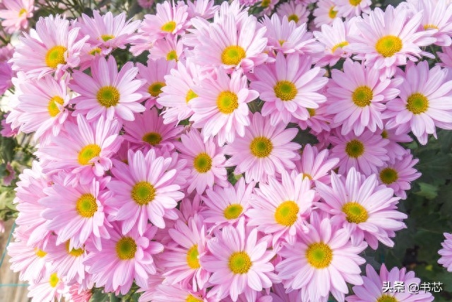 温暖至极的句子(图3)