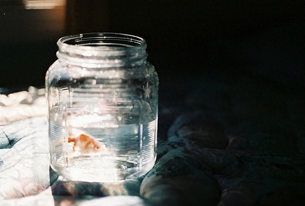 明媚阳光的文艺语录，总有一句触动你的心(图1)