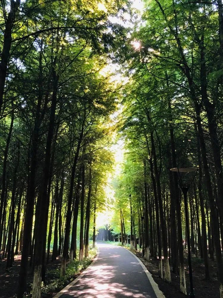 如果形容词也“放假”，你该如何表达所想？(图4)