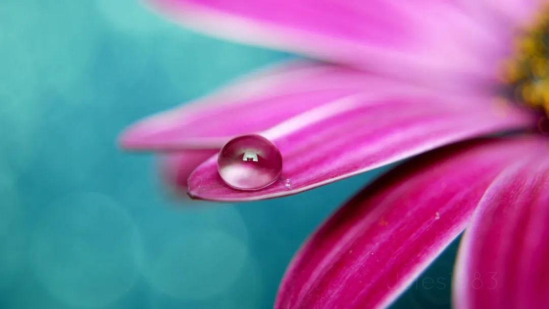 抖音最火闺蜜句子70条经典语录大全(图2)