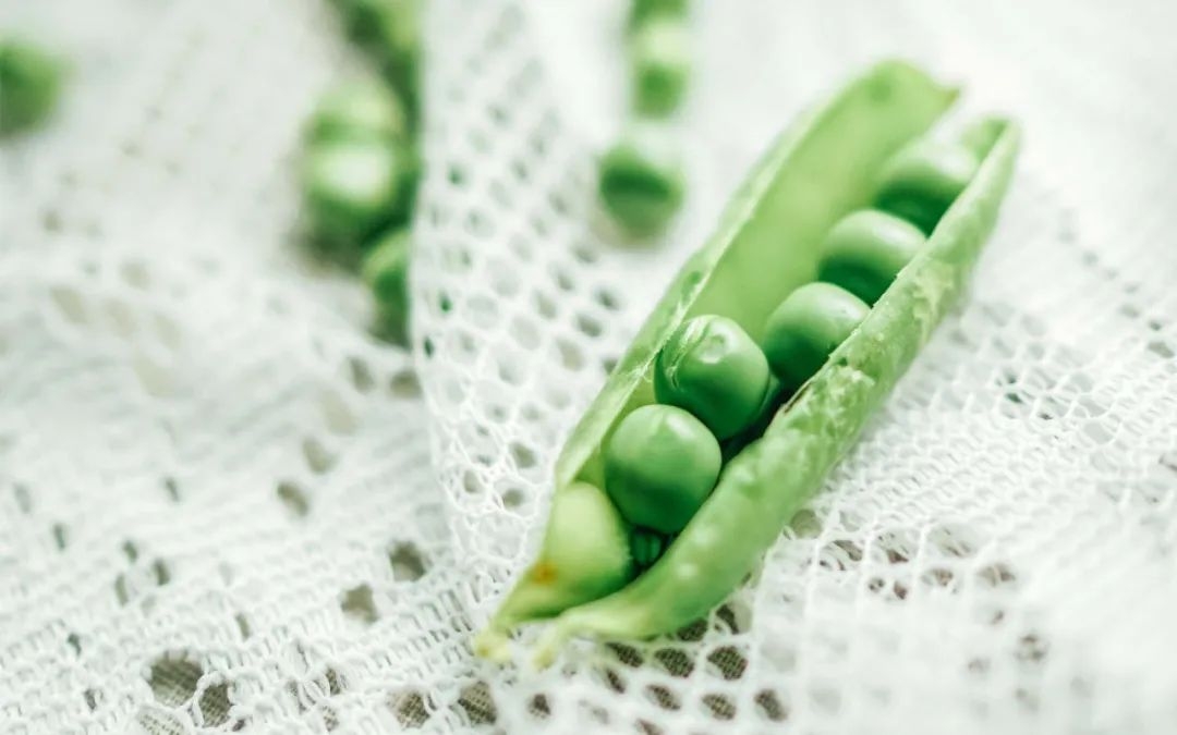 抖音最火闺蜜句子70条经典语录大全(图3)