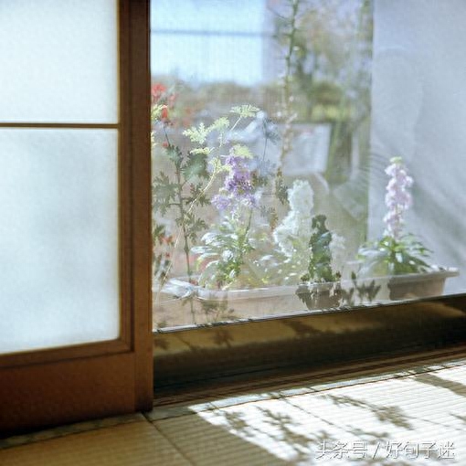 看淡人生的句子，句句霸气经典，总结得太精辟了！(图3)