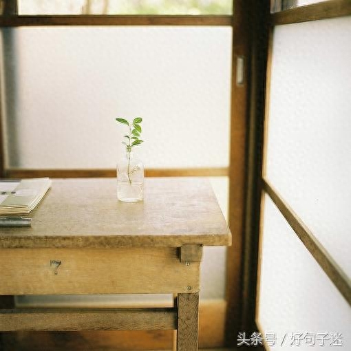 看淡人生的句子，句句霸气经典，总结得太精辟了！(图5)