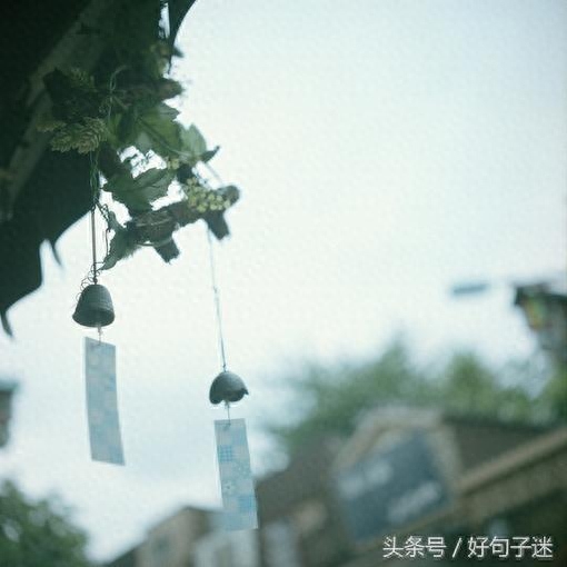 看淡人生的句子，句句霸气经典，总结得太精辟了！(图7)