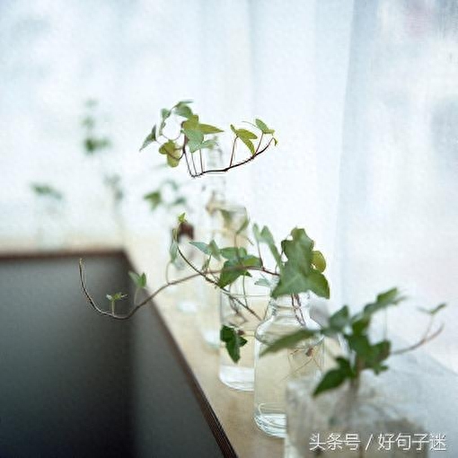 看淡人生的句子，句句霸气经典，总结得太精辟了！(图8)