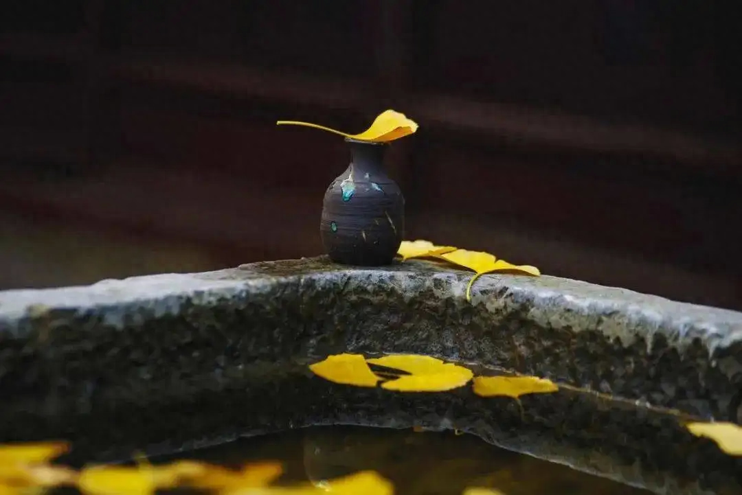 看淡一切释然的文案 看淡一切释然的句子简短(图1)