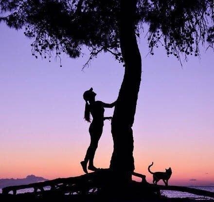 随缘的洒脱句子：看淡人生，去除疲惫，让人心安(图5)